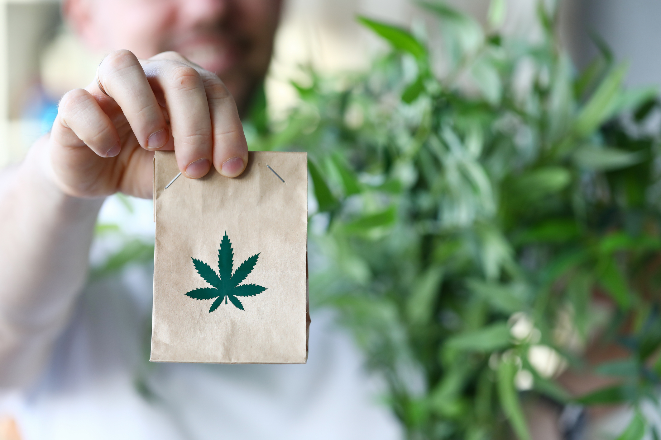 LEGAL MARKET OVERVIEW: HOW CONSUMERS BUY THC ONLINE LEGALLY