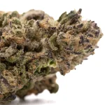 Fort lauderdale weed delivery vs Dispensary Pickup – Pros & Cons