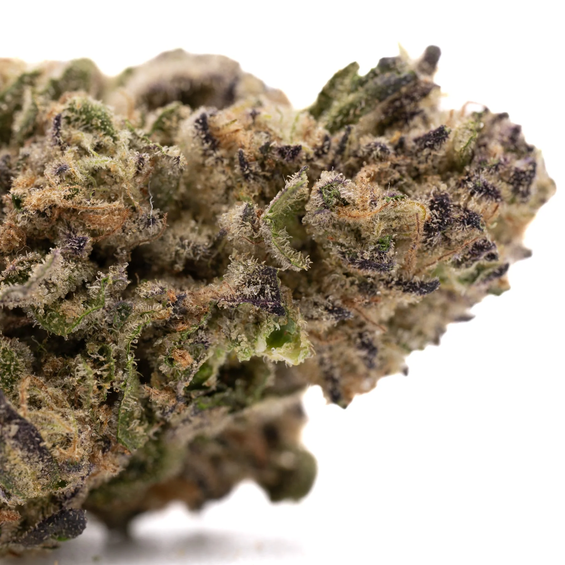 Fort lauderdale weed delivery vs Dispensary Pickup – Pros & Cons